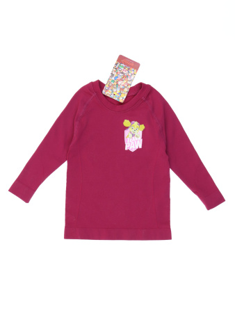 10897 (2) Nickelodeon