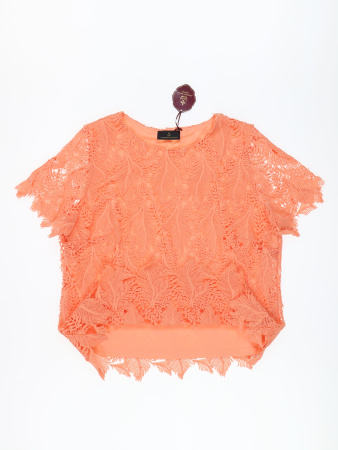 3493 (2) Alfredo Pauly