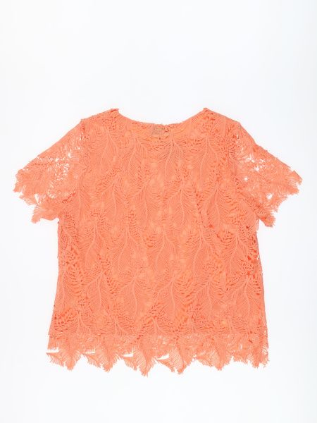 3493 (3) Alfredo Pauly