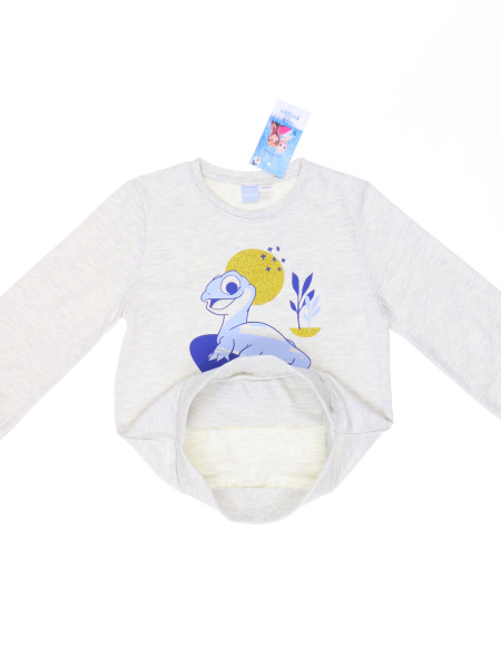 4236 (2) Disney